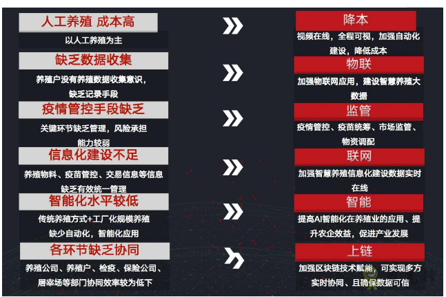 就連養豬都是智能化？現代農業還遠嗎？