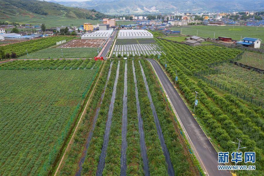 農業(yè)農村部：2025年農業(yè)科技進步貢獻率達到64%