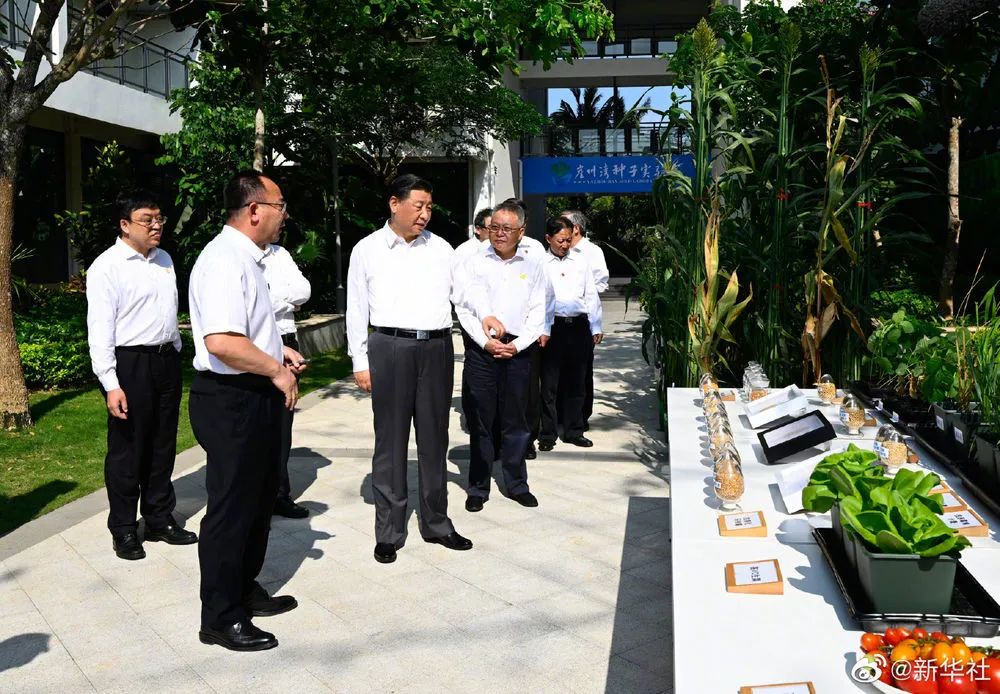 10日下午，習(xí)近平總書記在海南省三亞市崖州灣種子實驗室考察調(diào)研時強(qiáng)調(diào)，種子是我國糧食安全的關(guān)鍵。只有用自己的手攥緊中國種子，才能端穩(wěn)中國飯碗，才能實現(xiàn)糧食安全。種源要做到自主可控，種業(yè)科技就要自立自強(qiáng)。這是一件具有戰(zhàn)略意義的大事。要弘揚(yáng)袁隆平等老一輩科技工作者的精神，十年磨一劍，久久為功，把這件大事抓好。