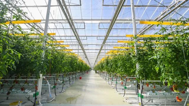 好！北京：設施農業機械化率今年將達到43.5%！