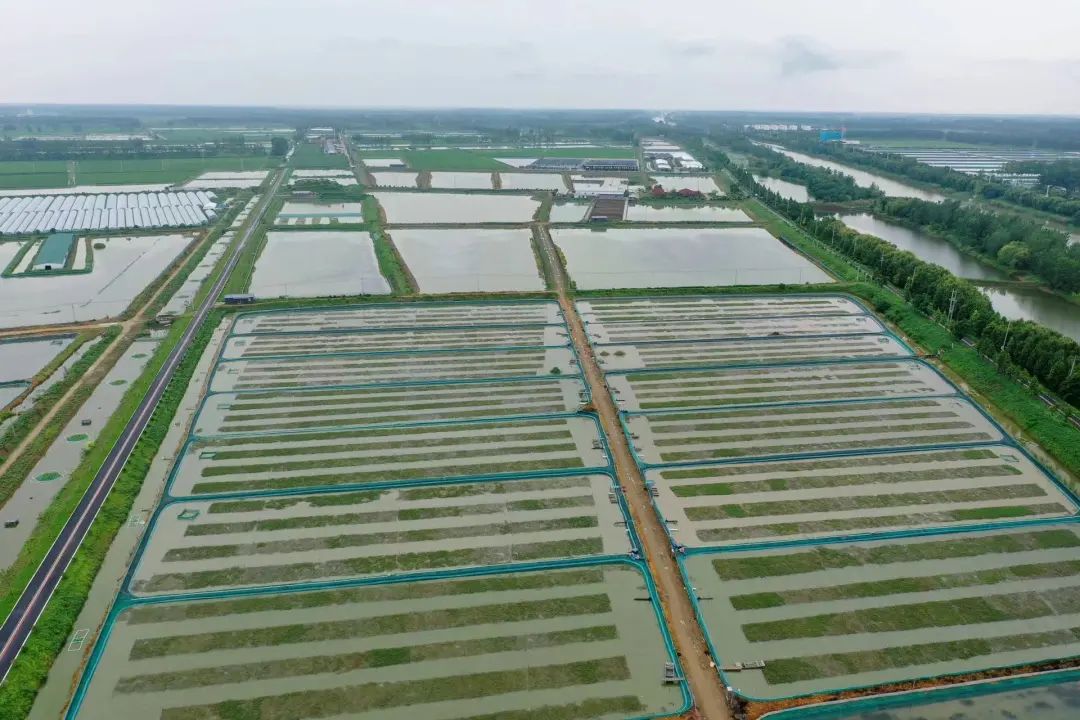 江蘇省兩地入選全國農(nóng)業(yè)生產(chǎn)“三品一標”典型案例