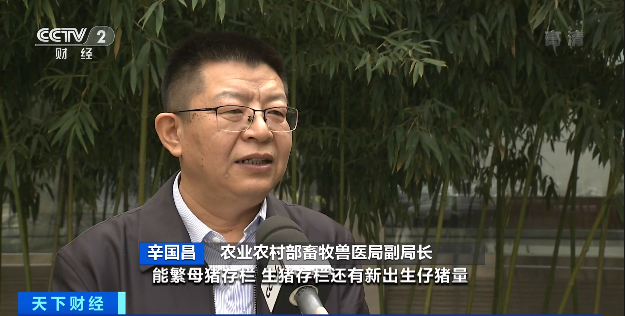 豬肉價(jià)格，為何漲了？接下來怎么走？農(nóng)業(yè)農(nóng)村部最新回應(yīng)