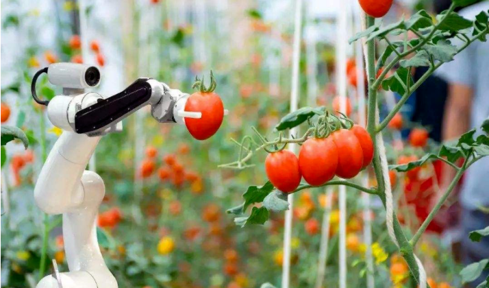 農業機器人來到應用窗口期，助力未來百億人口糧食安全