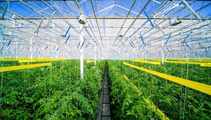 智慧農業迎來4大趨勢！發展5步路線圖清晰出爐！