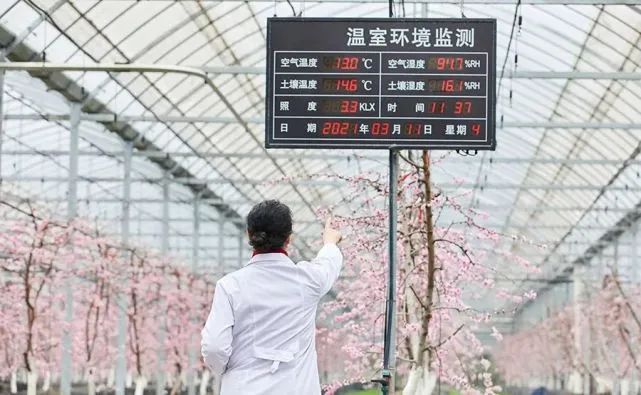 未來農(nóng)業(yè)10大科技趨勢和創(chuàng)新、亮點(diǎn)