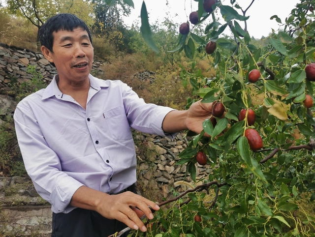 75項農業(yè)科技成果落地京郊