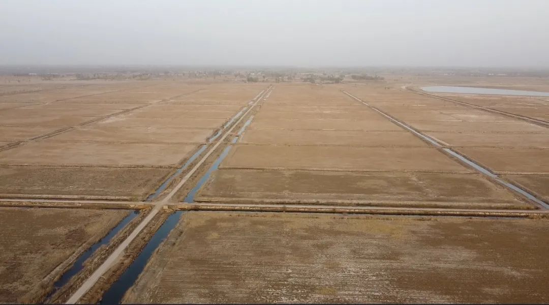 陜西榆林：6000余畝高標(biāo)準(zhǔn)農(nóng)田，緣何撂荒7年？