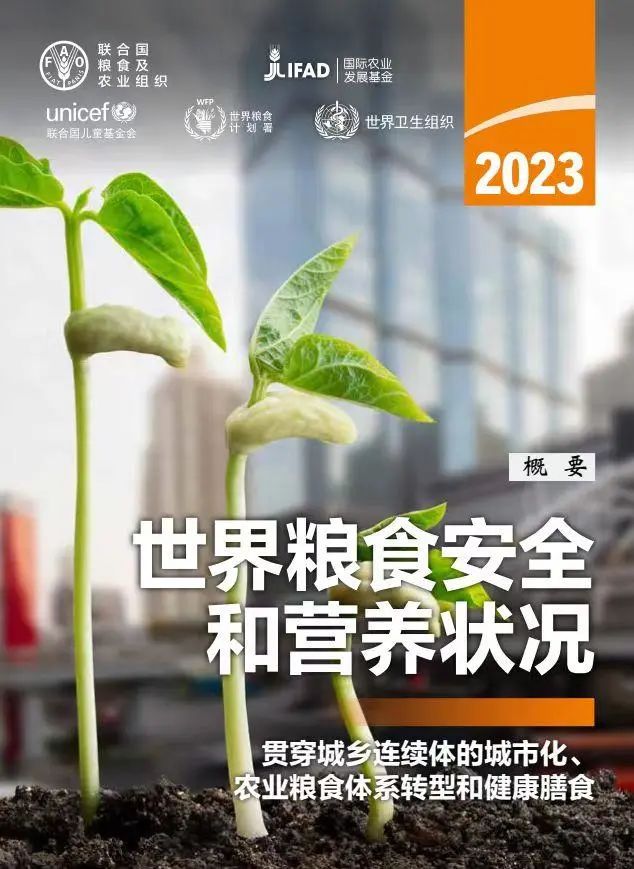 加強(qiáng)韌性建設(shè) 應(yīng)對糧食危機(jī)